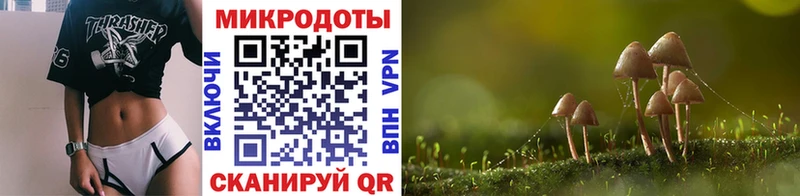 Галлюциногенные грибы мицелий  Емва 